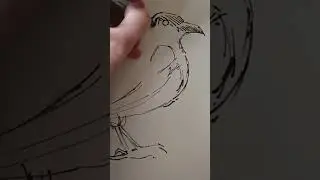 Magpie drawing with sharpie part 3