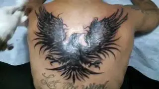 Black Bird Tattoo - Alter Bridge