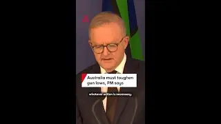 Australia must toughen gun laws, Prime Minister Anthony Albanese says