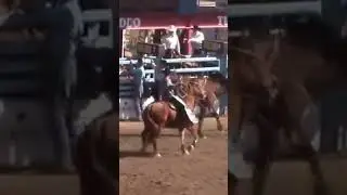 Tucson Rodeo Highlights! #shorts #rodeo