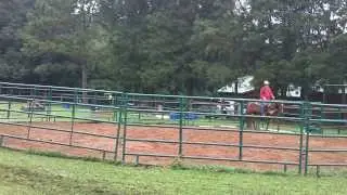 morning workout with Tex 4