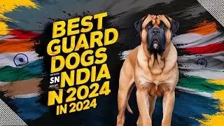 Top Best Guard Dogs in India 2024 | Ultimate Protectors for Your Home