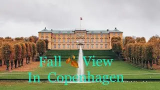 Festival Of Colours of Autumn 🍂 In Copenhagen 🇩🇰