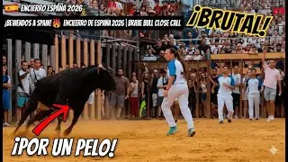 Heart-Stopping Bull Moments You Must See! 🐂⚡ | Bulls of Spain