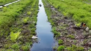 Masih Bersama DJI Air 3 Membuat Konten    Hehehe