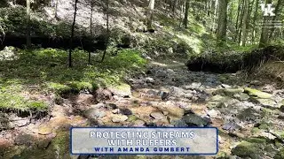 Protecting Streams with Buffers