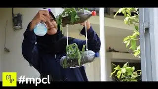 iGrow My Own Food: Urban Farming Campaign and Commercial by Musimpanen CreativeLab
