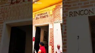 Inside El Pimpi: The Most Famous restaurant in Malaga