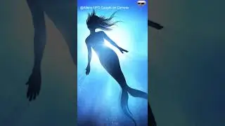 Mythical River Creatures Caught On Camera!