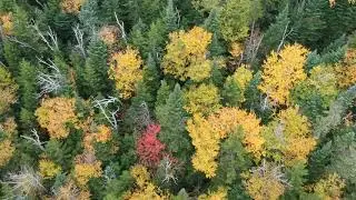 Adirondacks peak fall colors by drone