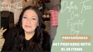 Travel Season; Car Essential Bag; Dollar Tree Preparedness; Road Trip Essentials; Part Two