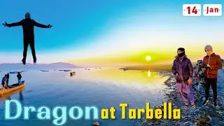 Dragon at Tarbella Dam - 14 January 2026