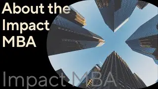 About the Impact MBA | Tomorrow University of Applied Sciences