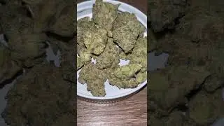 avaay 32/1 AHC Amnesia Haze Cake #medical #strainreviews #budhunter