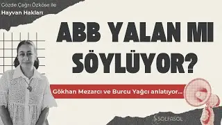 Yaşam hakkı savunucuları hedefte