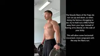 Deadlifts, Traps and Stabilizers- Tailored Technique insta: @tailoredtechnique