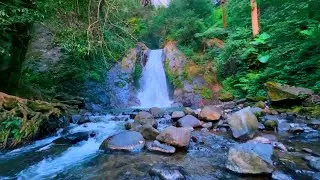 Waterfall Sounds for Sleeping, River Sounds for relaxation, Water Sounds for stress relief