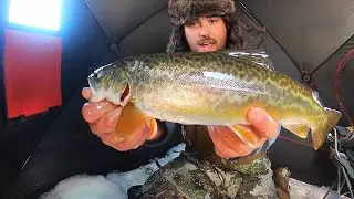 TIGER TROUT CATCH & COOK on the ICE!!