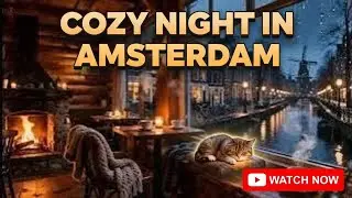 Deep Sleep Music in a Cozy Holland Café 🐱☕ Sleeping Munchkin Cat | Night Ambience for Relaxation