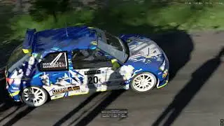 Assetto Corsa rally ( thizy camtools test )