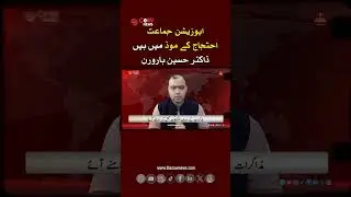 Opposition Parties in Full Protest Mode: Dr. Hussain Haroon