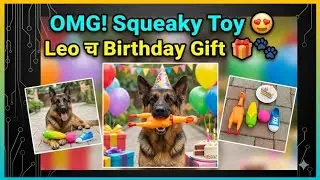 🐶Leo ला Birthday Gift Squeaky Toy दिलं आणि Reaction पाहून हसू आवरेना 😂🎁 |#dogvlog #vlog #dailyvlog 