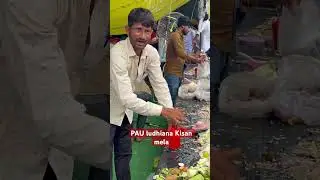 PUNJAB AGRICULTURE UNIVERSITY LUDHIANA #punjab #pauludhiana #kisanmela #kisan #india #villagelife