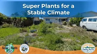 Super Plants for a Stable Climate Presentation and Discussion