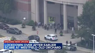 2 detained after altercation prompts hour-long lockdown at Old Orchard Mall: Skokie police