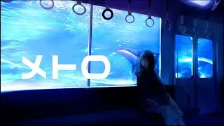 メトロ / Mai