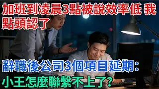 加班到凌晨三點被說效率低，我點頭認了，辭職後公司連續三個項目延期：小王怎麼聯繫不上了？【奇趣天下】#職場逆襲#職場智慧#爽文職場#工作日常#完結爽文