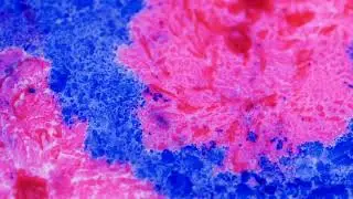 Ruben well$ ✖ unnamed ✖ Neo rbz - Tu Movimiento🍇 (visualizer Official)