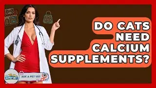 Do Cats Need Calcium Supplements? - Ask A Pet Vet