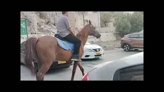 Byaheng Rustaq tayo,/Al hail to Rustaq #exploreoman #indaylhynmix