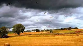The Summer Walkers. By Donald Bain