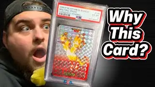 These POK&Eacute;MON cards deserve way more love