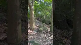MTB in Ketam Trail