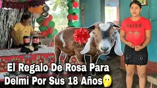 Rosa Compra 1 Chivo A Delmi De Regalo|Mejor Hubiera Pagado Su Deuda Con Roma le Dicen