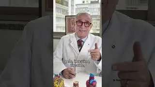 Entenda as doen&ccedil;as autoimunes