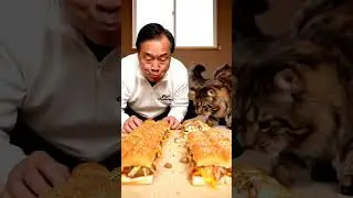 Cat eating burger 🍔 #eating #challenges #funny