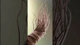 Growing root made in Blender and Houdini. #3d #animation #blender #houdini #simulation #vfx