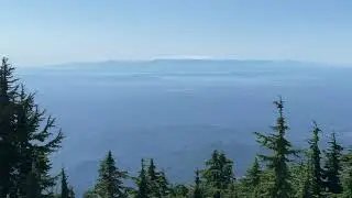 Yellow Labrador retriever climbing and hiking Mount Pilchuck 21