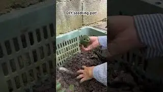 Diy seedling pot banana leaf #viralvideo #viralreels