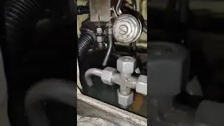 bomba guillotina polar mala