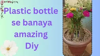 Plastic bottle se sandaar diy #portulaca #hariyali.ki.duniyaaa