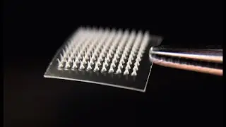 A Skin Patch That Can Melt Fat