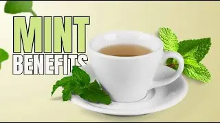 Mint Benefits: How to Use Mint for Gut Health, Fresh Breath & More