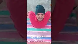 இராஜாளி பறவை யோகா| FALCON BIRD YOGA. #shorts #yoga