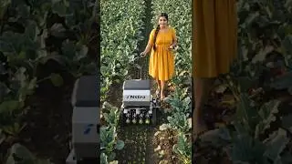 Future Farming | Young woman operating with Precision compact NxEra Seeding Machine for Kohlrabi 🤯