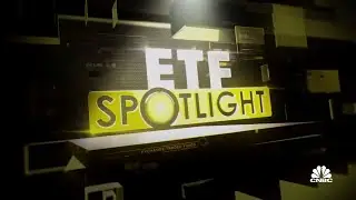 Amplify Online Retail ETF tries to hold after Chewy slides on Q2 miss